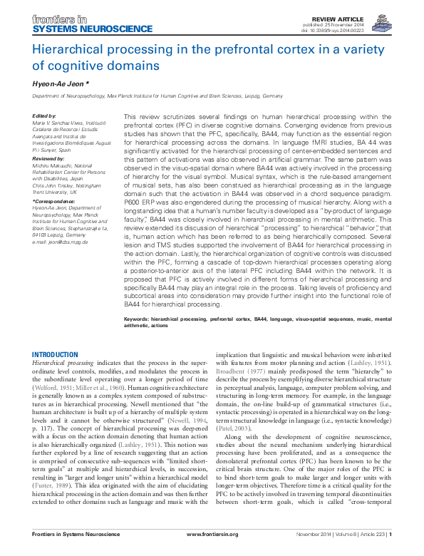 (PDF) Hierarchical processing in the prefrontal cortex in a variety of ...