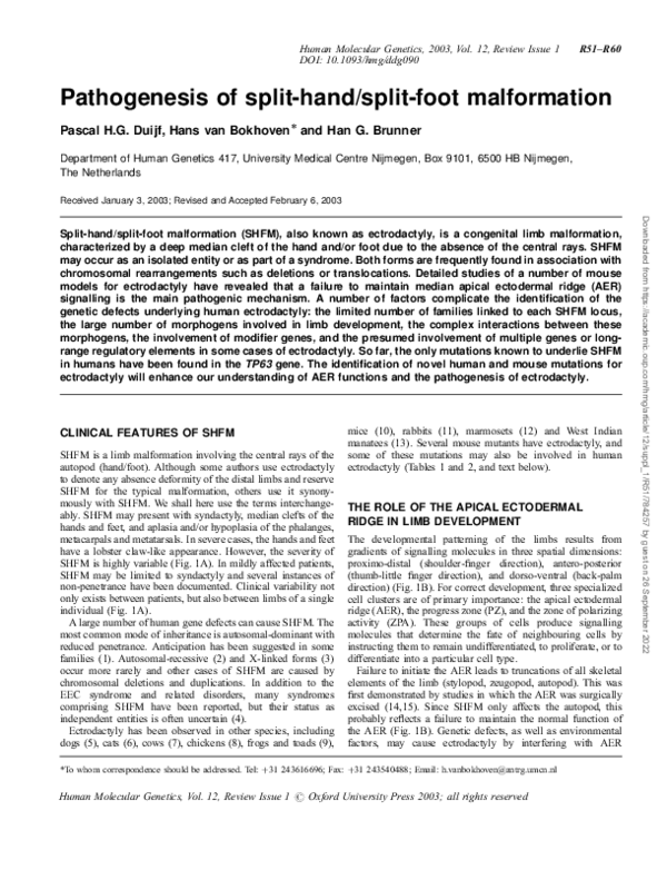 (PDF) Pathogenesis of split-hand/split-foot malformation