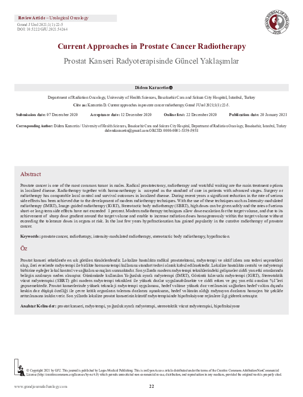 (PDF) Current Approaches in Prostate Cancer Radiotherapy
