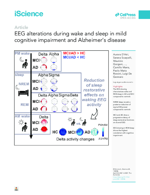 (PDF) EEG alterations during wake and sleep in mild cognitive ...