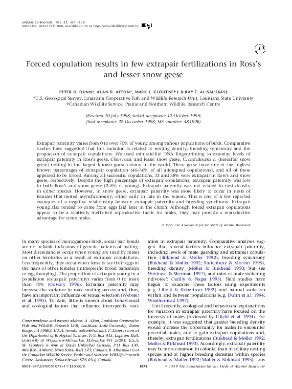 (PDF) Forced copulation results in few extrapair fertilizations in Ross ...