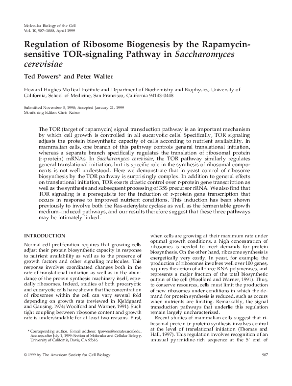 (PDF) Regulation of Ribosome Biogenesis by the Rapamycin-sensitive TOR ...