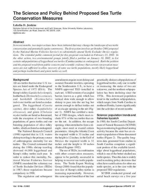 Sea turtle biography picture