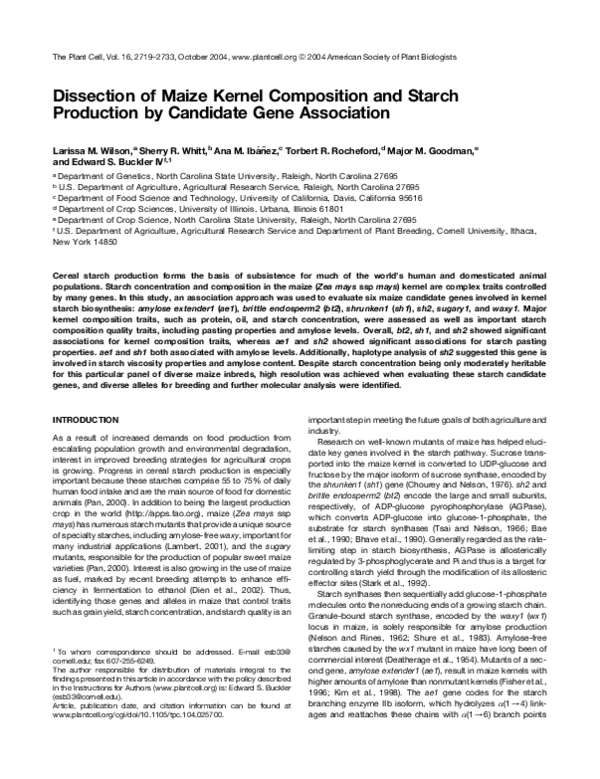 (PDF) Dissection of Maize Kernel Composition and Starch Production by ...