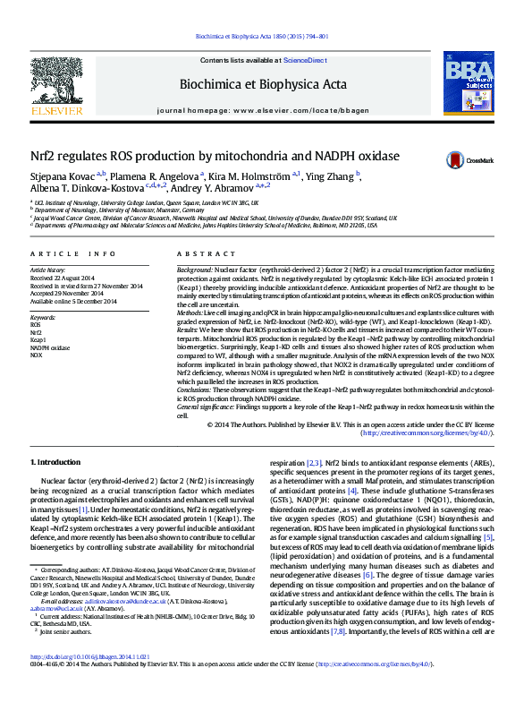 (PDF) Nrf2 regulates ROS production by mitochondria and NADPH oxidase