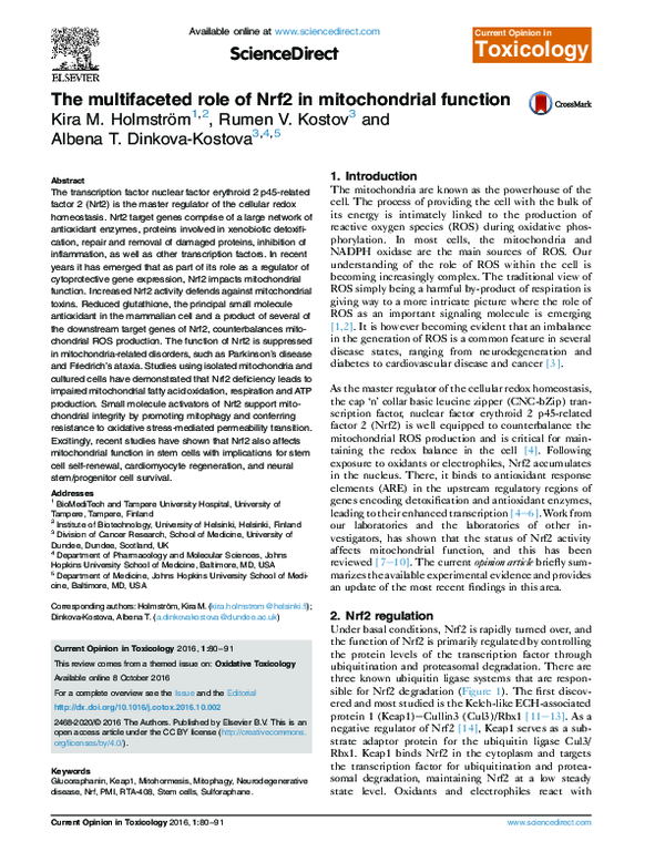 (PDF) The multifaceted role of Nrf2 in mitochondrial function