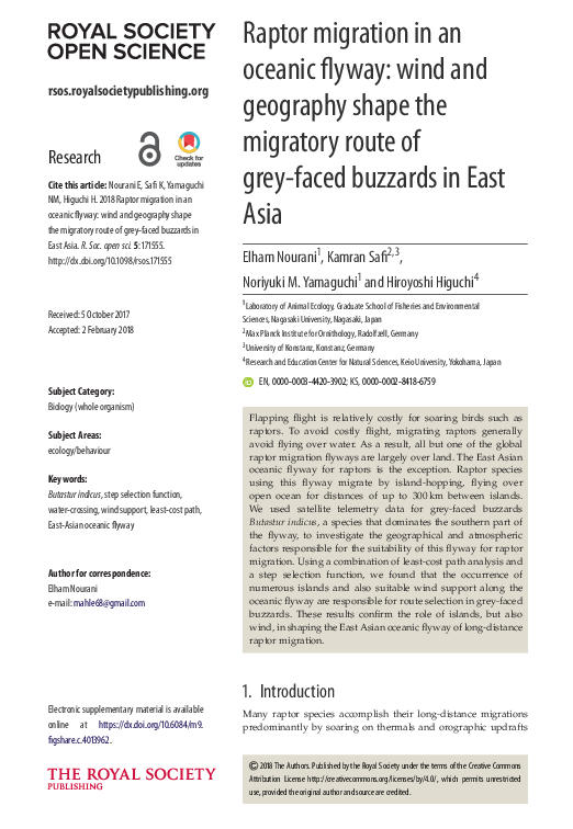 (PDF) Raptor migration in an oceanic flyway: wind and geography shape ...