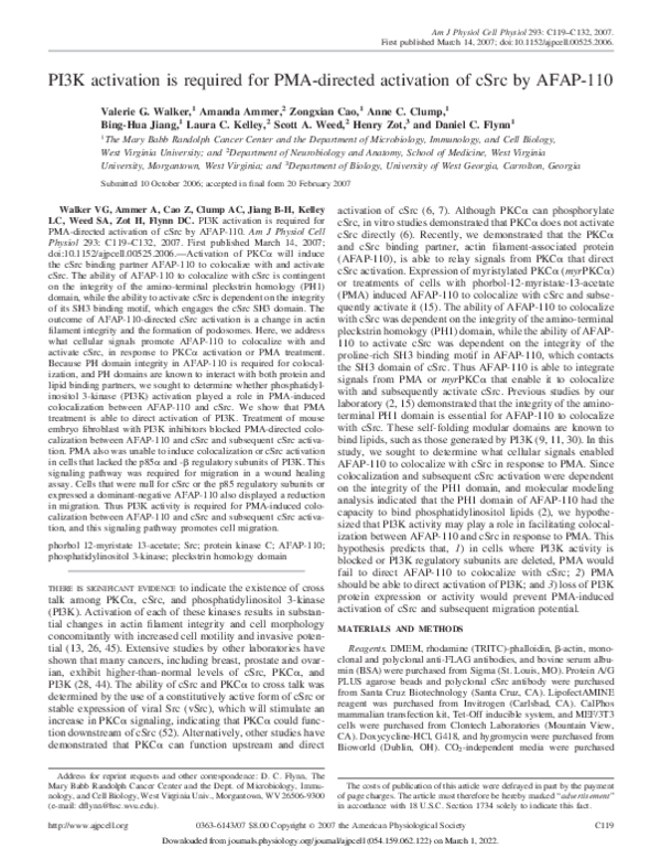 (PDF) PI3K activation is required for PMA-directed activation of cSrc ...