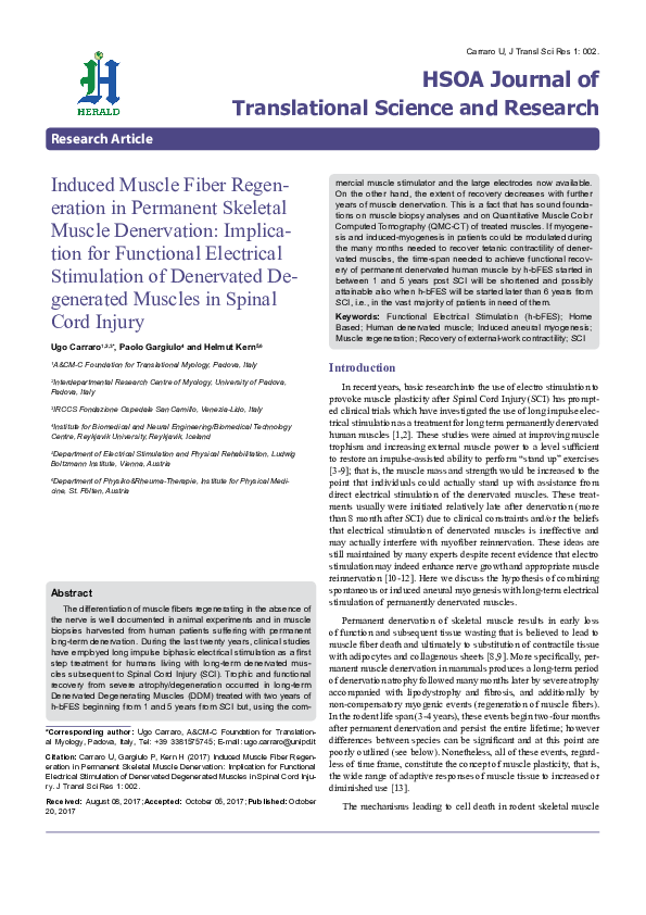 (PDF) Induced Muscle Fiber Regeneration In Permanent Skeletal Muscle ...