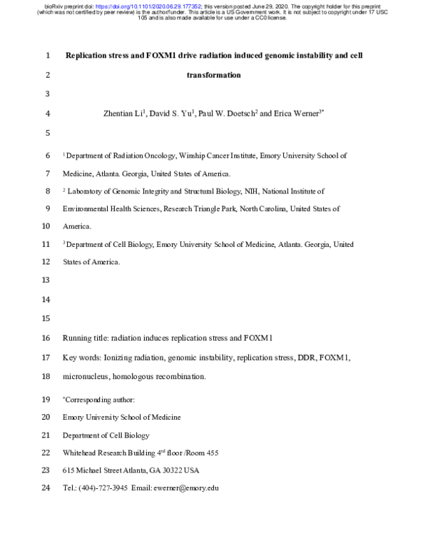 (PDF) Replication stress and FOXM1 drive radiation induced genomic ...