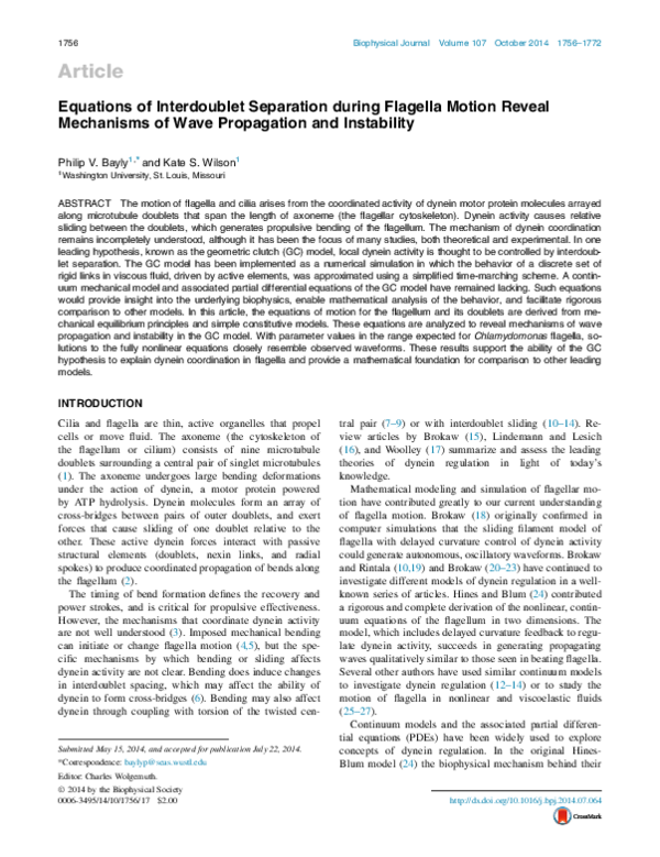 (PDF) Equations of interdoublet separation during flagella motion ...