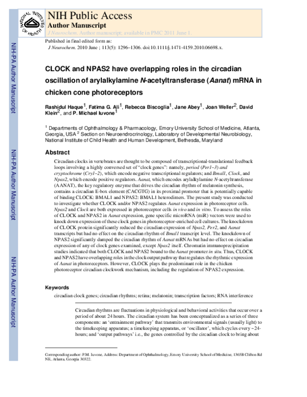 (PDF) CLOCK and NPAS2 have overlapping roles in the circadian