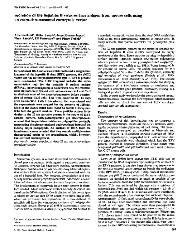 (PDF) Secretion of the hepatitis B virus surface antigen from mouse ...