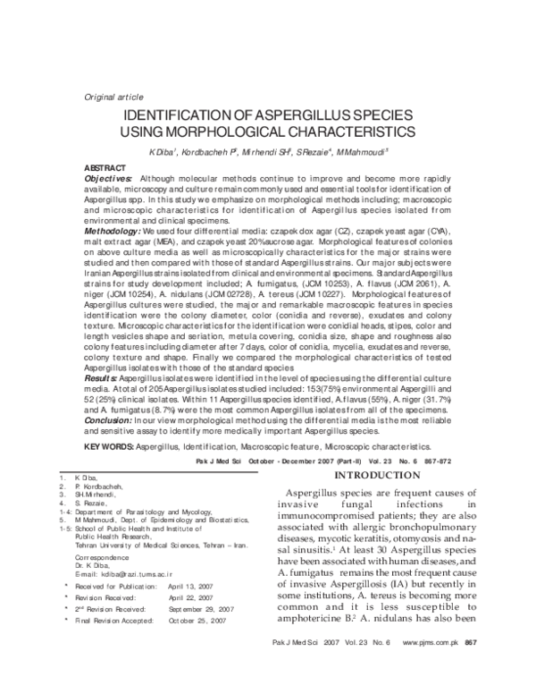 (PDF) Identification of Aspergillus Species Using Morphological