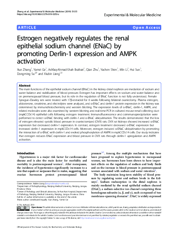 (PDF) Estrogen negatively regulates the renal epithelial sodium channel ...