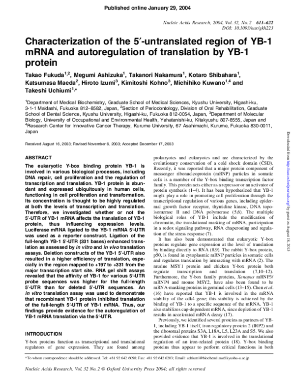 (PDF) Characterization of the 5'-untranslated region of YB-1 mRNA and ...