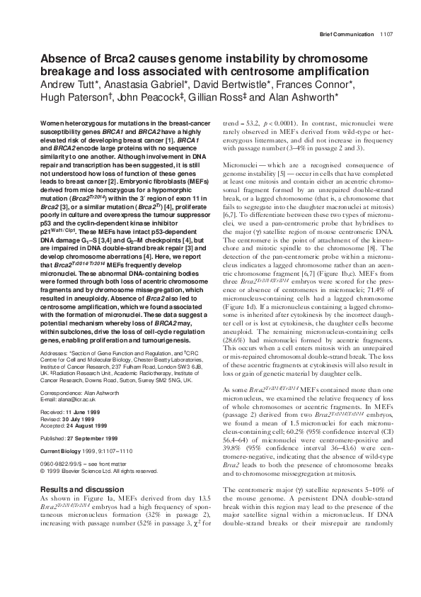 (PDF) Absence of Brca2 causes genome instability by chromosome breakage ...