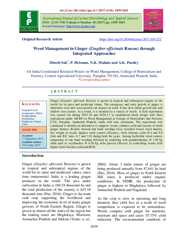 (PDF) Weed Management in Ginger (Zingiber officinale Roscoe) through ...