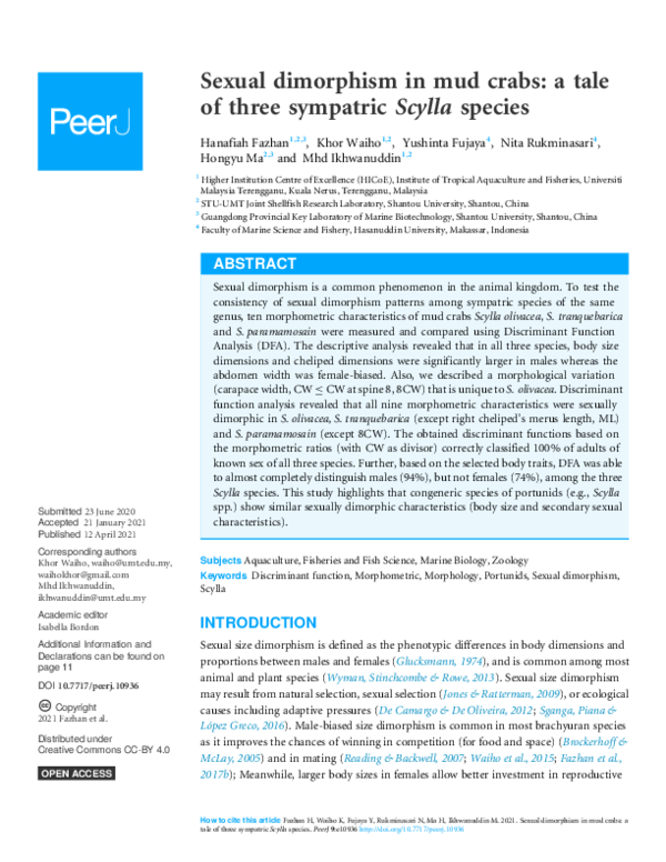 (PDF) Sexual dimorphism in mud crabs: a tale of three sympatric Scylla ...