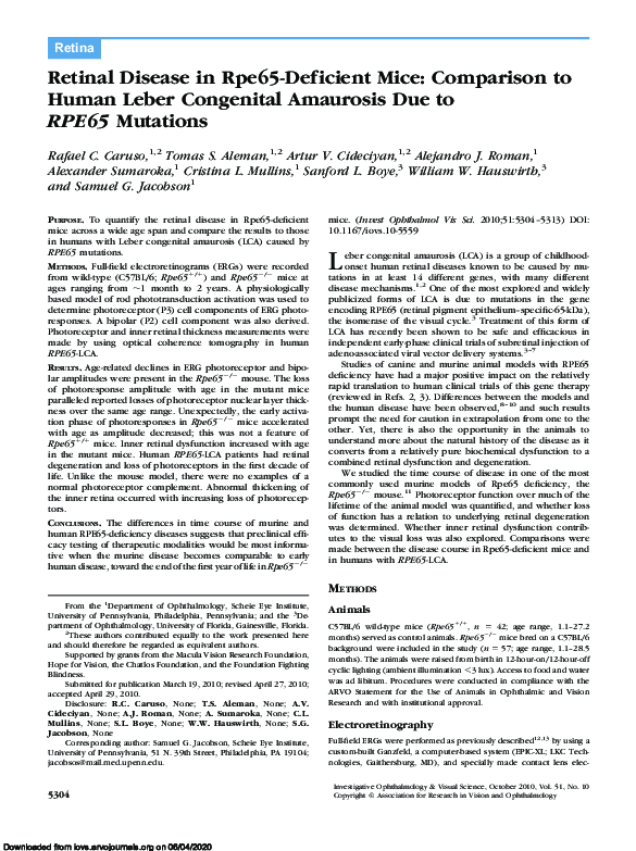 (PDF) Retinal Disease in Rpe65-Deficient Mice: Comparison to Human ...