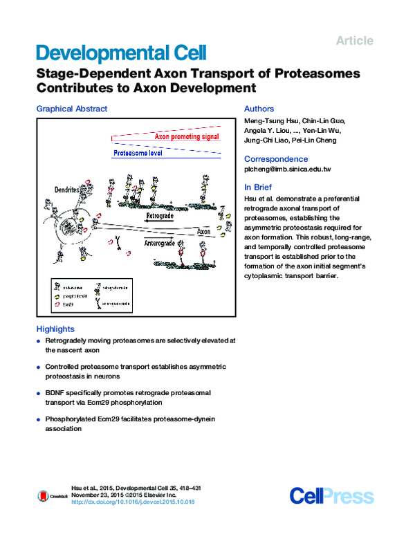 (PDF) Stage-Dependent Axon Transport of Proteasomes Contributes to Axon ...