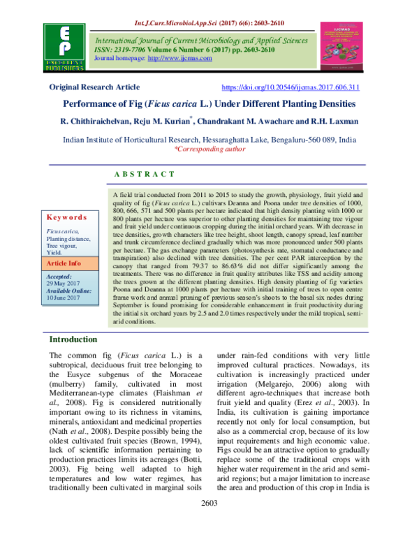 (PDF) Performance of Fig (Ficus carica L.) Under Different Planting ...