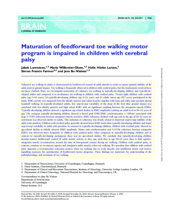 (PDF) Maturation of feedforward toe walking motor program is impaired ...