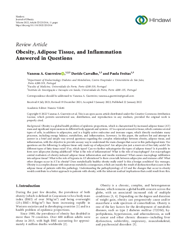 (PDF) Obesity, Adipose Tissue, and Inflammation Answered in Questions