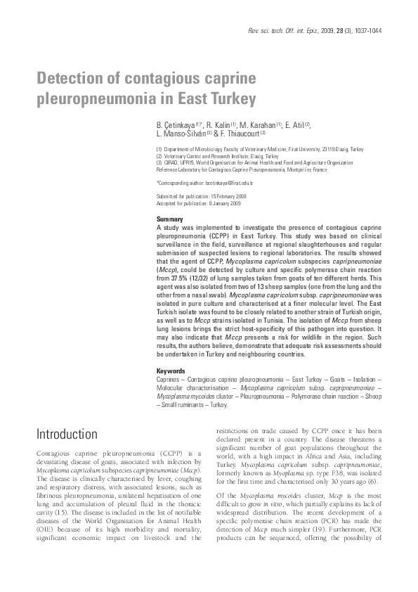 (PDF) Detection of contagious caprine pleuropneumonia in East Turkey