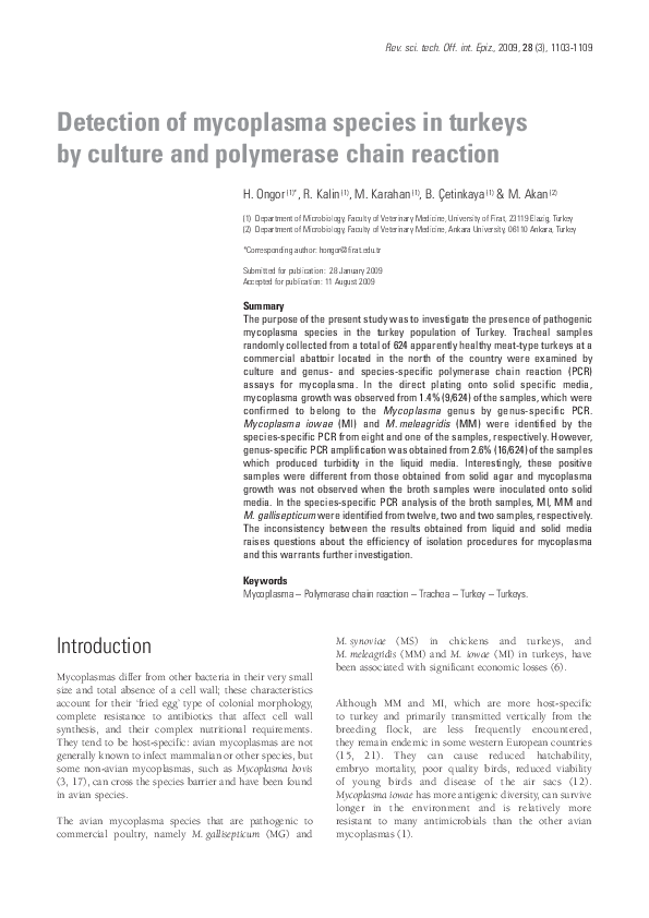 (PDF) Detection of mycoplasma species in turkeys by culture and ...