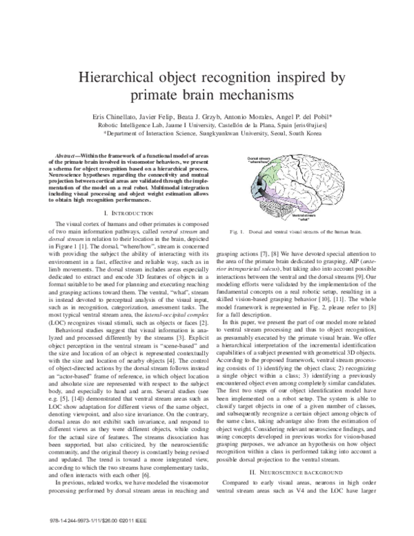 (PDF) Hierarchical object recognition inspired by primate brain mechanisms
