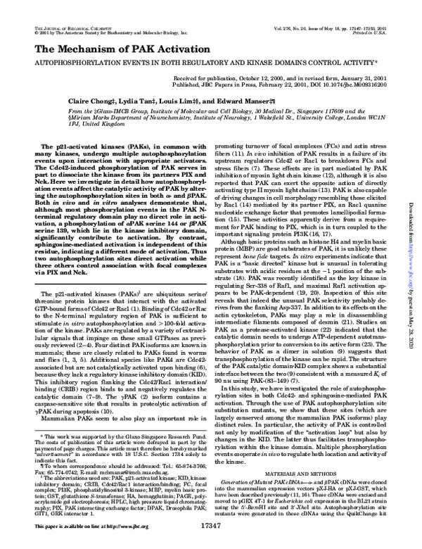 (PDF) The Mechanism of PAK Activation