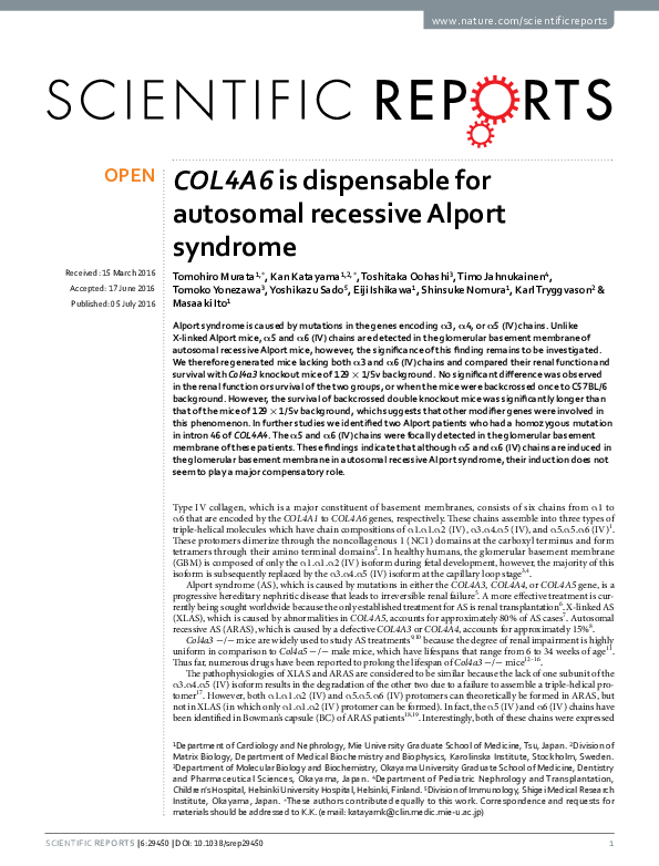 (PDF) COL4A6 is dispensable for autosomal recessive Alport syndrome