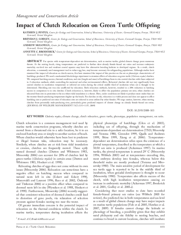 (PDF) Impact of Clutch Relocation on Green Turtle Offspring
