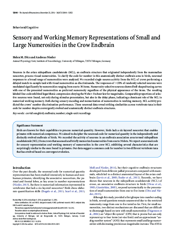 (PDF) Sensory and Working Memory Representations of Small and Large ...