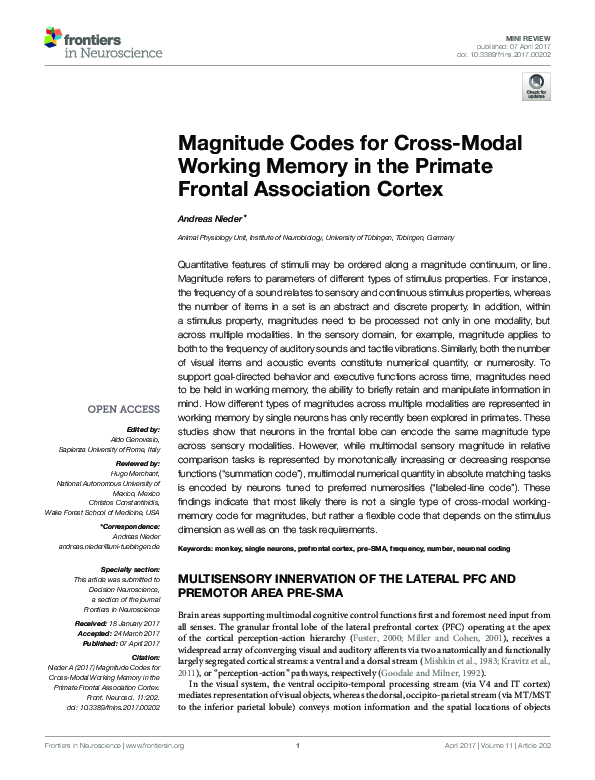 (PDF) Magnitude Codes for Cross-Modal Working Memory in the Primate ...