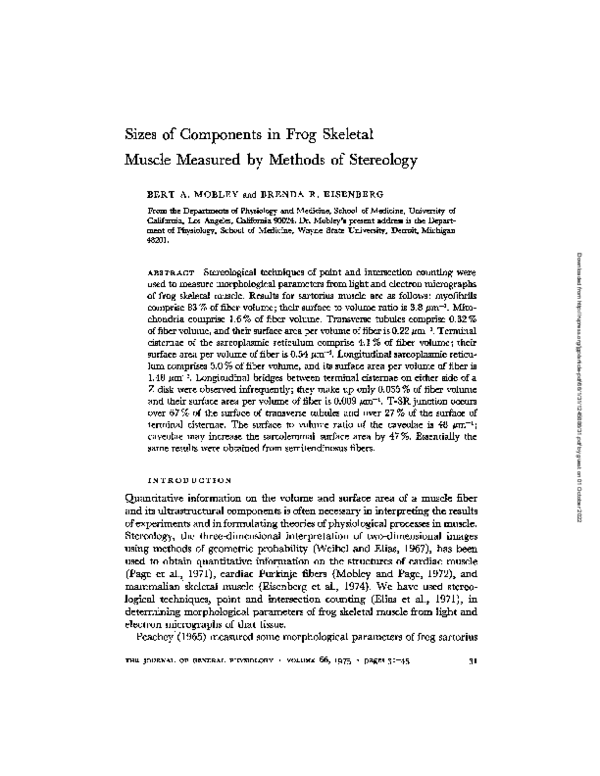 (PDF) Sizes of components in frog skeletal muscle measured by methods ...
