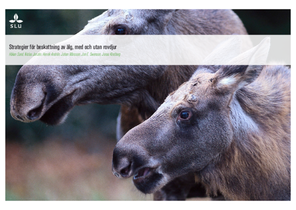 (PDF) Strategier för beskattning av älg, med och utan rovdjur