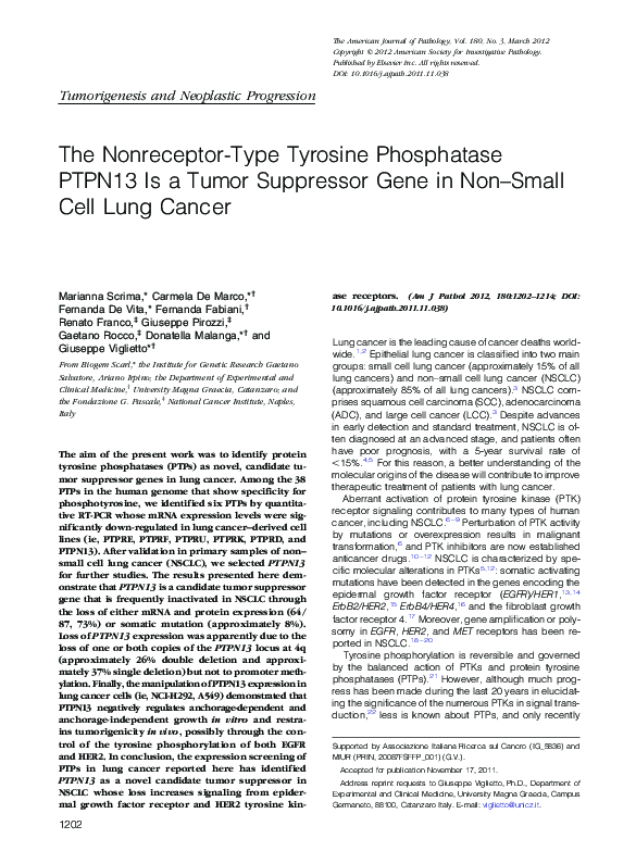 (PDF) The Nonreceptor-Type Tyrosine Phosphatase PTPN13 Is a Tumor ...