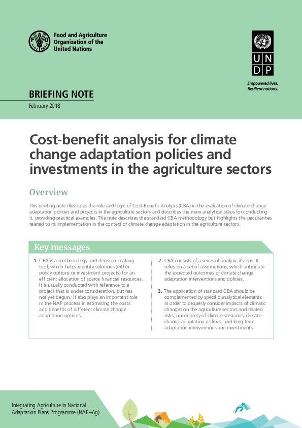 (PDF) Cost benefit analysis for climate change adaption
