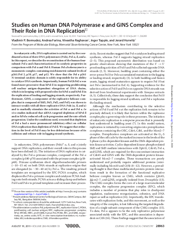 (PDF) Studies on Human DNA Polymerase ϵ and GINS Complex and Their Role ...