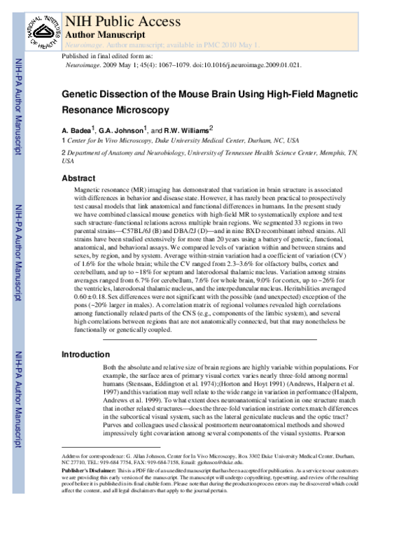 (PDF) Genetic dissection of the mouse brain using high-field magnetic ...