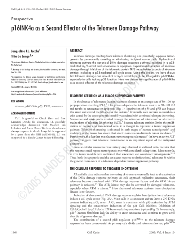 (PDF) Previously published online as a Cell Cycle E-publication