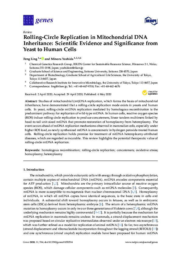 (PDF) Rolling-Circle Replication in Mitochondrial DNA Inheritance ...