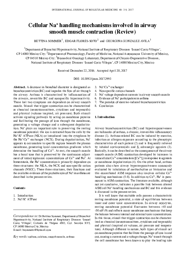 (PDF) Cellular Na+ handling mechanisms involved in airway smooth muscle ...