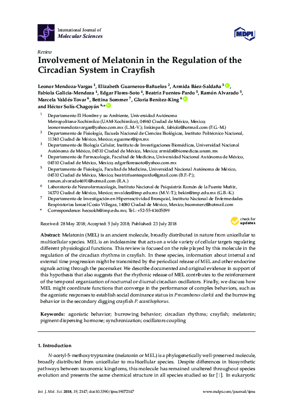 (PDF) Involvement of Melatonin in the Regulation of the Circadian ...