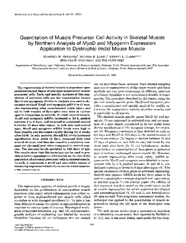(PDF) Quantitation of muscle precursor cell activity in skeletal muscle ...