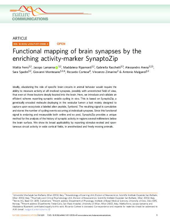 (PDF) Functional mapping of brain synapses by the enriching activity ...
