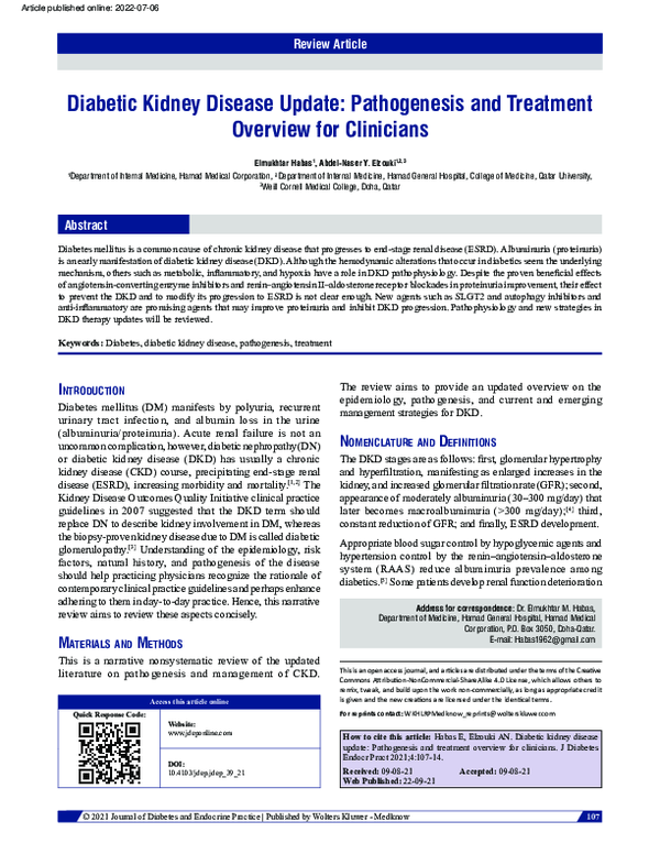 (PDF) Diabetic kidney disease update: Pathogenesis and treatment ...