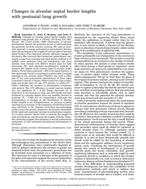 (PDF) Changes in alveolar septal border lengths with postnatal lung growth